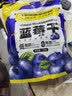 三只松鼠每日蓝莓干500g 蜜饯果干酸甜休闲零食下午茶孕妇儿童健康零食 实拍图