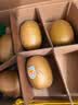 佳沛（zespri）新西兰金奇异果8粒特大果124-146g猕猴桃水果礼盒 实拍图