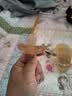 世喜安抚奶嘴6-9个月以上防龅牙胀气1-3岁婴儿夜用扁带收纳盒随机发货 实拍图