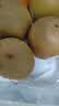 佳沛（zespri）新西兰金奇异果8粒特大果124-146g猕猴桃水果礼盒 实拍图