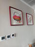 紫腾随轩齐白石装饰画新中式客厅背景墙面挂画卧室饭厅餐厅水墨虾壁画 苹果 50*50cm红木色实木框 实拍图