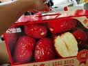 杞里香红枣干200g（2罐装）新疆红枣片 无核枣圈搭枸杞桂圆泡茶煲汤年货 实拍图