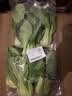 上海青约500g(油菜) 实拍图