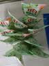 立白健康除菌天然洗衣液12斤手洗机洗15分钟快洗留香除螨抑菌祛味去渍 实拍图