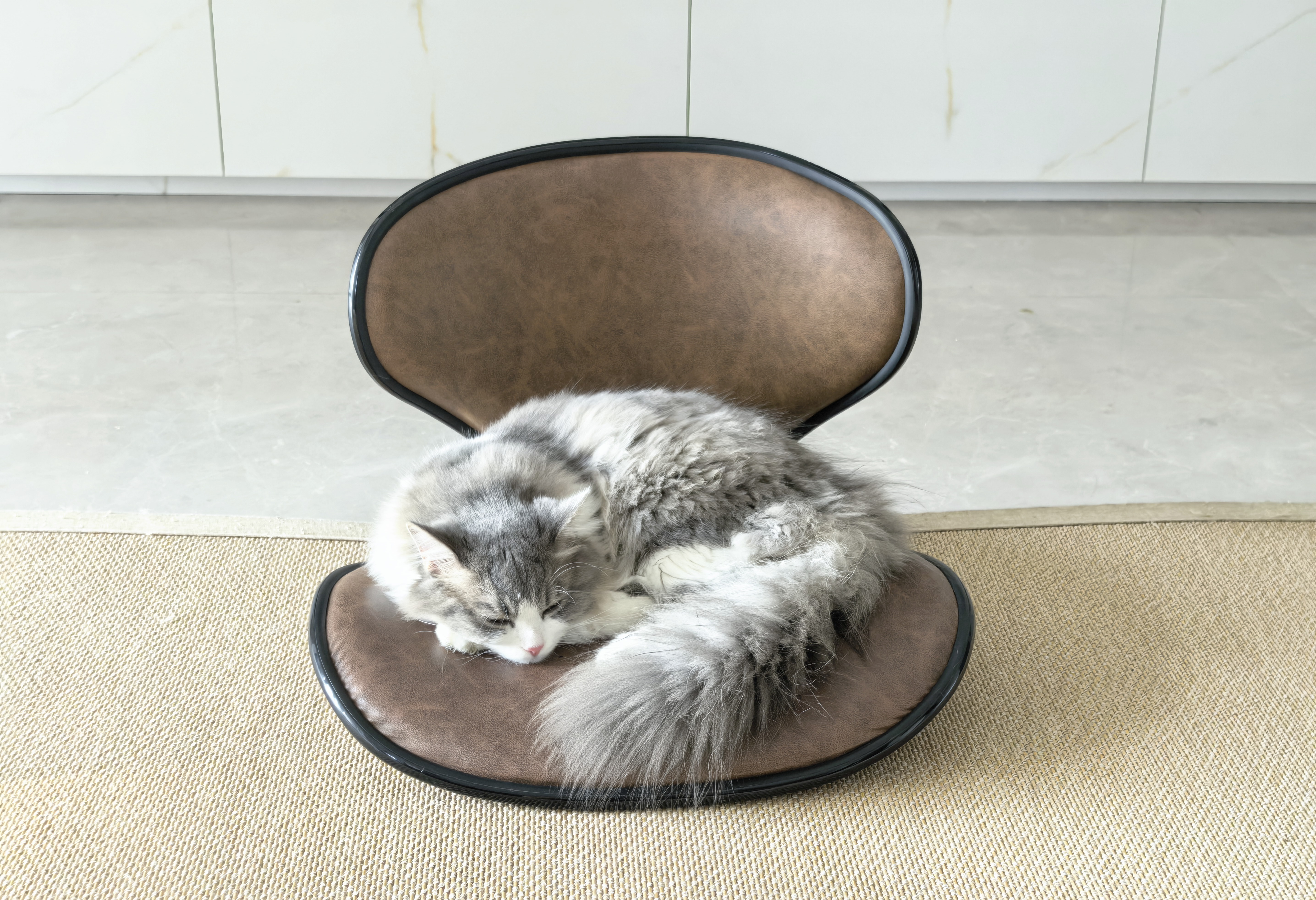 京东京造全价无谷猫粮10kg 七种海鲜 京东自营 实拍图