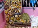 威毕仓鼠自动喂食器用品荷兰猪兔子龙猫金丝熊刺猬小型防翻食盆食盒 亚克力仓鼠食盒大号 实拍图