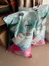 怡亲 膨润土猫砂 10kg 猫沙20斤 宠物猫 猫咪猫砂盆用 怡亲原味10kg*1包 实拍图