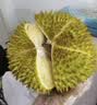 A级进口金枕鲜榴莲1粒约3kg(2-3kg) 实拍图