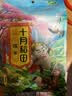十月稻田 糯米 2斤 东北圆糯米 包粽子 可酿米酒 杂粮米粗粮 实拍图