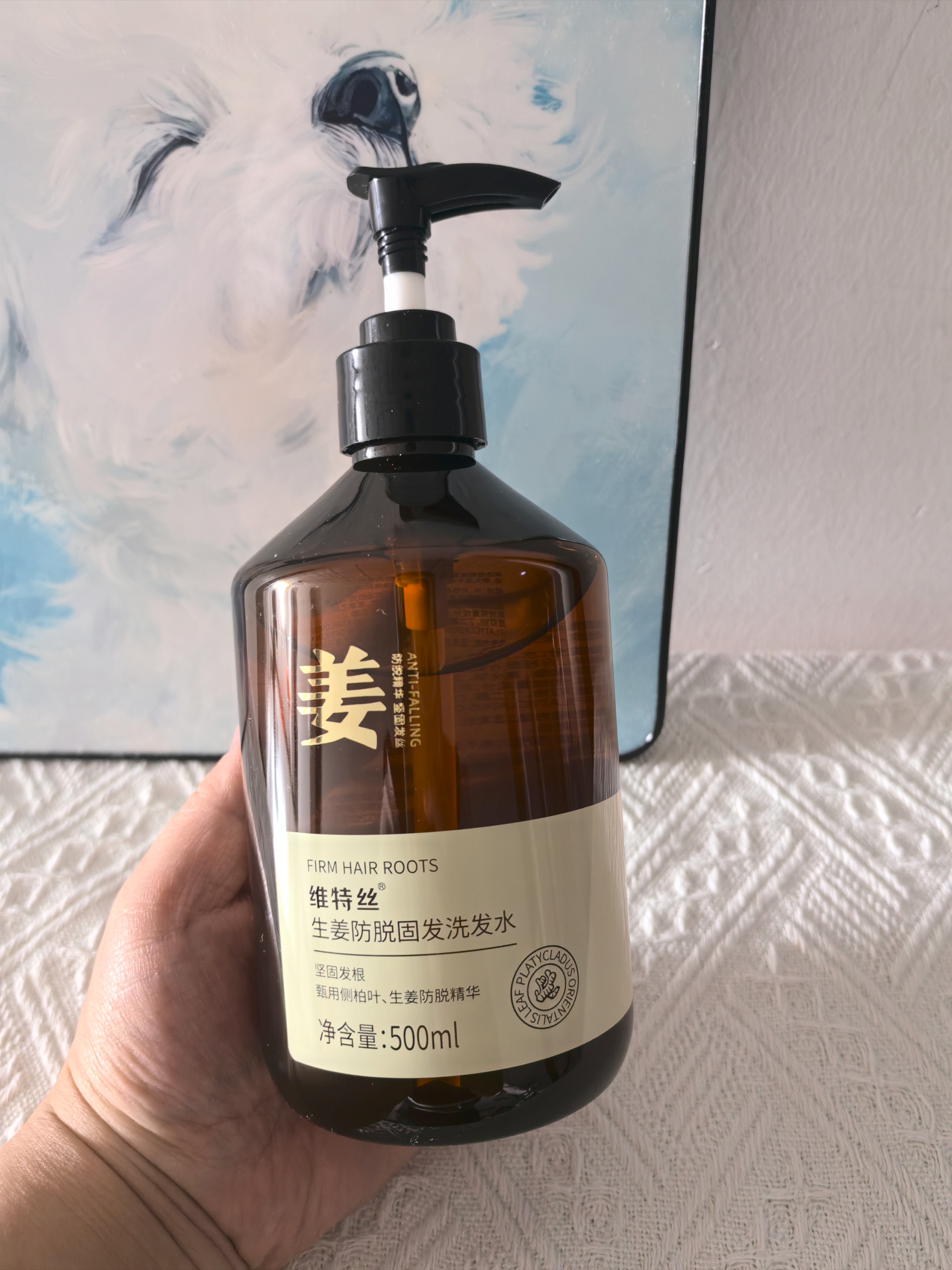 维特丝防脱洗发水生姜固发侧柏叶育控油去屑持久蓬松洗头膏露男女士专用 实拍图