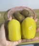 佳沛（zespri）新西兰金奇异果12粒特大果124-146g猕猴桃水果礼盒 实拍图