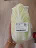 【霜打菜】三宝白菜约650g(大娃娃菜) 实拍图