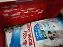 皇家狗粮幼犬成长礼盒（幼犬粮 800g+成犬粮 50g*5）小型犬 泰迪 贵宾 实拍图