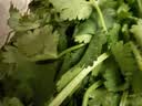 【火锅季】带根香菜100g 实拍图