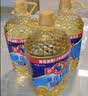 多力经典葵花籽油5L+玉米油238ml 一级压榨食用油 实拍图