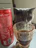 可口可乐（Coca-Cola）经典口味 汽水 碳酸饮料330ml*6罐 实拍图