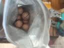 良品铺子夏威夷果奶油味干果每日坚果孕妇休闲零食袋装儿童零食小吃120g 实拍图