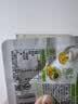 吉香居榨菜真芯25g*10袋减盐榨菜清淡早餐学生榨菜下饭菜咸菜即食 实拍图