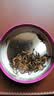 艺福堂茶叶红茶 正宗武夷山特级精选金骏眉60g罐装 新茶花果蜜香自己喝 实拍图