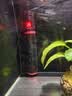 森森鱼缸石英加热棒200W款适用30-60L自动恒温水族箱加热器离水断电 实拍图