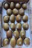 佳沛（zespri）新西兰金奇异果22粒巨大原箱146-175g猕猴桃水果礼盒 实拍图