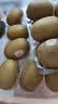 佳沛（zespri）新西兰金奇异果10个装单果重约103-114g 水果礼盒 猕猴桃 实拍图