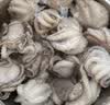 美加佳三去小章鱼净重2斤（500g*2袋）16-26只 去脏八爪鱼火锅聚餐 实拍图