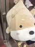 名创优品（MINISO）趴趴小狗玩偶抱枕毛绒公仔儿童玩具宿舍沙发靠枕床上陪伴抱睡礼物 实拍图