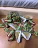 史迪芬全家人都能吃的瑞士卷双拼 750g12块（原味＋伯爵红茶）甜品甜点 实拍图