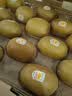 佳沛（zespri）新西兰 金奇异果特大果15粒134-146g猕猴桃水果礼盒 实拍图