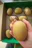 佳沛（zespri）新西兰金奇异果12粒特大果124-146g猕猴桃水果礼盒 实拍图