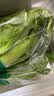 【烧烤季】钟灵山罗马生菜400g 实拍图