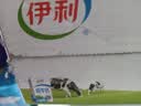 伊利严选牧场纯牛奶 250ml*16盒3.3g优质乳蛋白全脂牛奶 礼盒装 实拍图