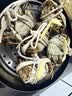 【活蟹】漁家师傅大闸蟹全母3.0-3.3两8只去绳足重鲜活螃蟹现货生鲜水产礼盒金秋送礼 实拍图