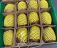 佳沛（zespri）新西兰金奇异果12粒特大果124-146g猕猴桃水果礼盒 实拍图