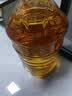 鲁花食用油 物理压榨 非转基因 玉米油6.18L 家用粮油 健康植物油 实拍图