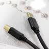 胜为（shengwei）USB2.0延长线公对母 高速传输数据连接线 电脑U盘键鼠打印机充电器扩展延长加长线10米 AUF1100G 实拍图