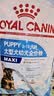 皇家狗粮幼犬成长礼盒（幼犬粮 800g+成犬粮 50g*5）小型犬 泰迪 贵宾 实拍图