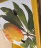 京鲜生 攀枝花【即食大果】凯特芒果 净重10斤 单果700g 5-7颗 生鲜礼盒 实拍图