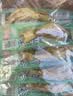 有友 泡椒凤爪 山椒味28g*10支 单个装休闲追剧办公室小吃零食经典 实拍图