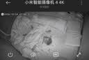 小米智能摄像机 4家用云台摄像头800万像素4K超清室内监控360度无死角带夜视手机远程婴儿宠物宝宝母婴 实拍图