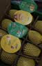 佳沛（zespri）金奇异果25-27粒原箱特大果124-146g猕猴桃水果礼盒 实拍图