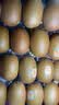 佳沛（zespri）金奇异果25-27粒原箱特大果124-146g猕猴桃水果礼盒 实拍图