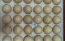 京鲜生【供港品质】【每日鲜蛋】叶黄素可生食鸡蛋30枚3.78斤/盒 礼盒  实拍图