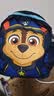 汪汪队立大功（PAW PATROL）幼儿园书包3-6周岁宝宝书包超轻透气大班小班大容量背包双肩包 实拍图