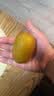 佳沛（zespri）新西兰金奇异果15粒巨大果146-175g猕猴桃水果礼盒 实拍图