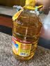 鲁花 食用油 物理压榨 葵花仁油6.18L  实拍图