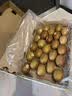 佳沛（zespri）金奇异果25-27粒原箱特大果124-146g猕猴桃水果礼盒 实拍图