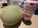 北纬23°西州蜜瓜1粒约1.3kg 实拍图