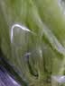 【烧烤季】钟灵山罗马生菜400g 实拍图